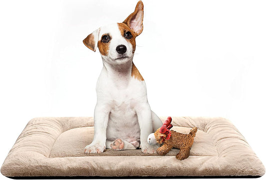 Cozy Dog Bed & Crate Pad, Medium Sized Dogs, Fit Metal Crates, Ultra Soft, Washable & Anti-Slip, Cream, 30inch