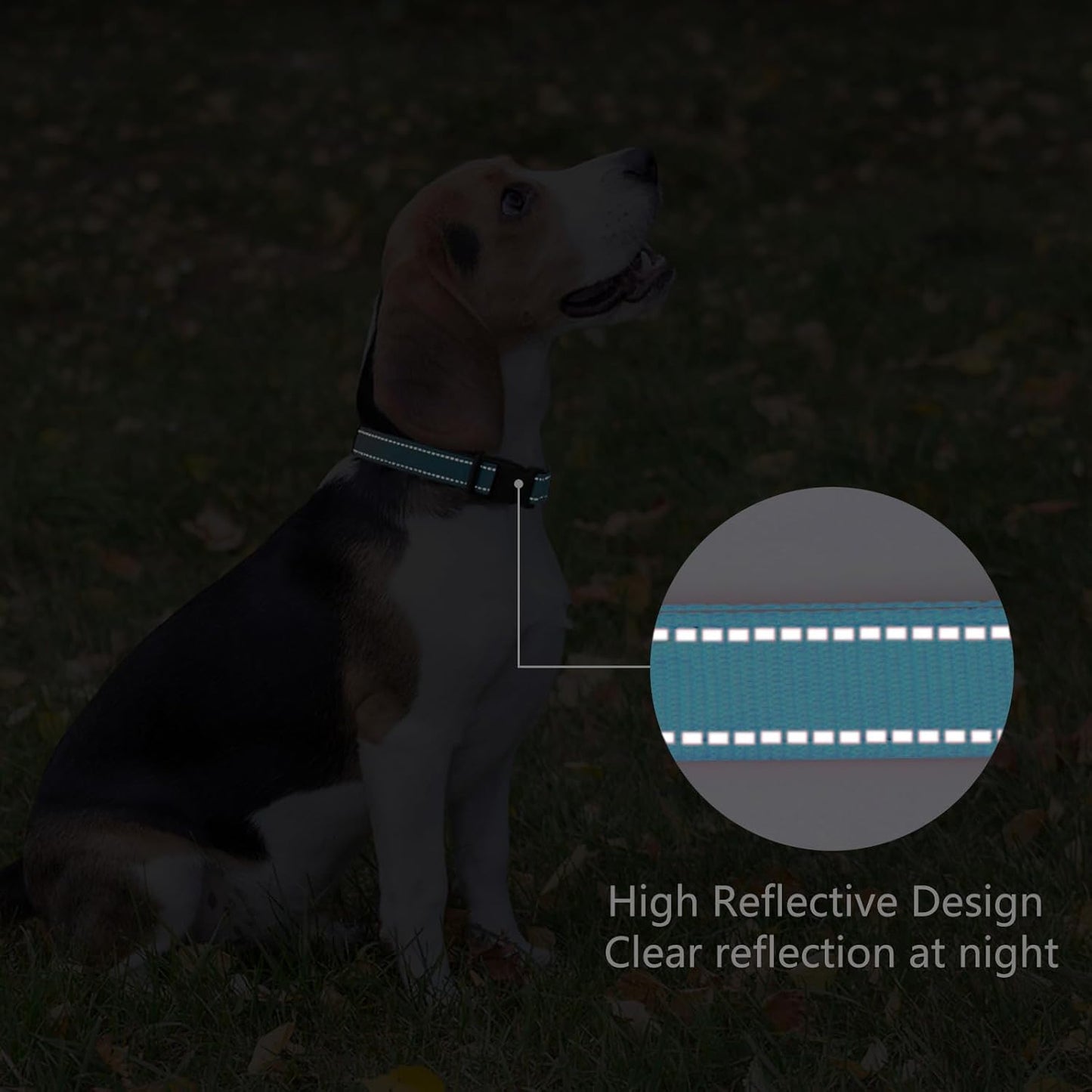 Reflective Dog Collar Padded with Soft Neoprene Breathable Quick Release Basic Dog Collars for Medium Dogs Sky Blue Boy