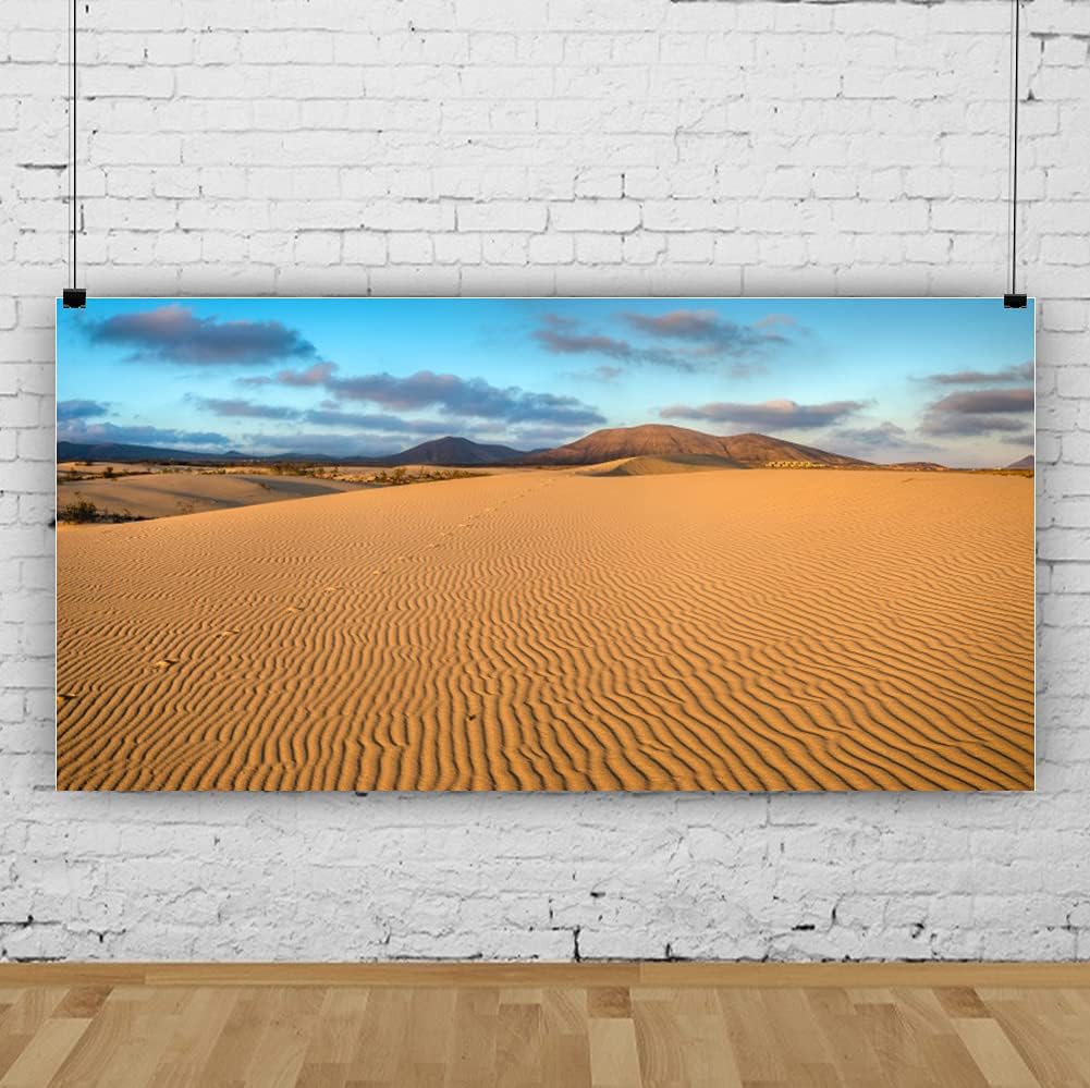 Renaiss 10x5ft Desert Photography Backdrop Golden Ripple Desert Mountain Sand Dunes Blue Sky Gobi Scenery Background Nature Landscape Backgrounds Wilderness Photo Video Shoot Studio Props