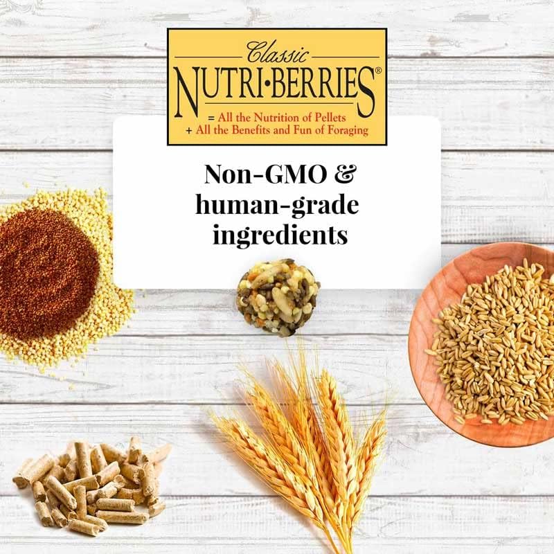 LAFEBER'S Classic Nutri-Berries Pet Bird Food, Made with Non-GMO and Human-Grade Ingredients, for Cockatiels (10 oz Pack of 2)