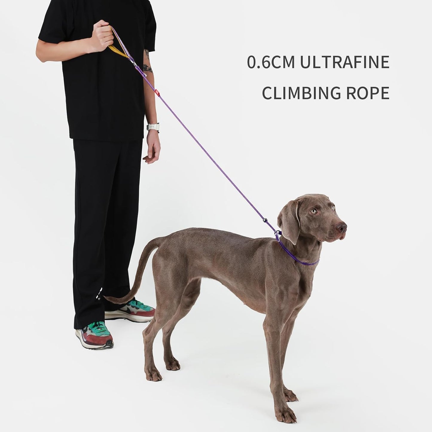 Dog Anti-Slip Leash 5FT with Metal Stopper - Durable No-Pull Training Lead for Small, Medium & Large Dogs - Comfortable Handle Nylon Rope, Tangle-Free Pet Walking Leash (Purple, 5.6FT)