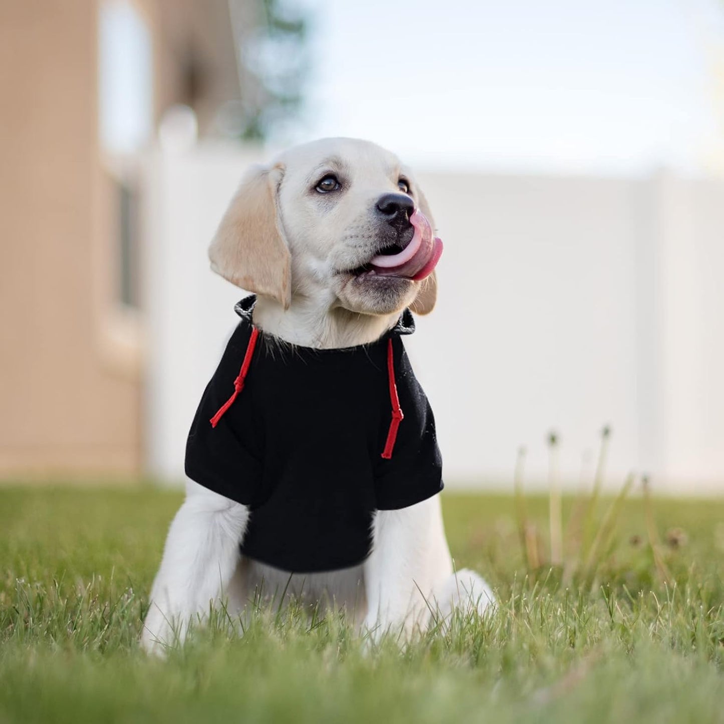 SAWMONG Dog Hoodie,Flannel Pet Hooded Sweater with Hat Puppy Pullover Sweater Shirt,Dog (Black,L)