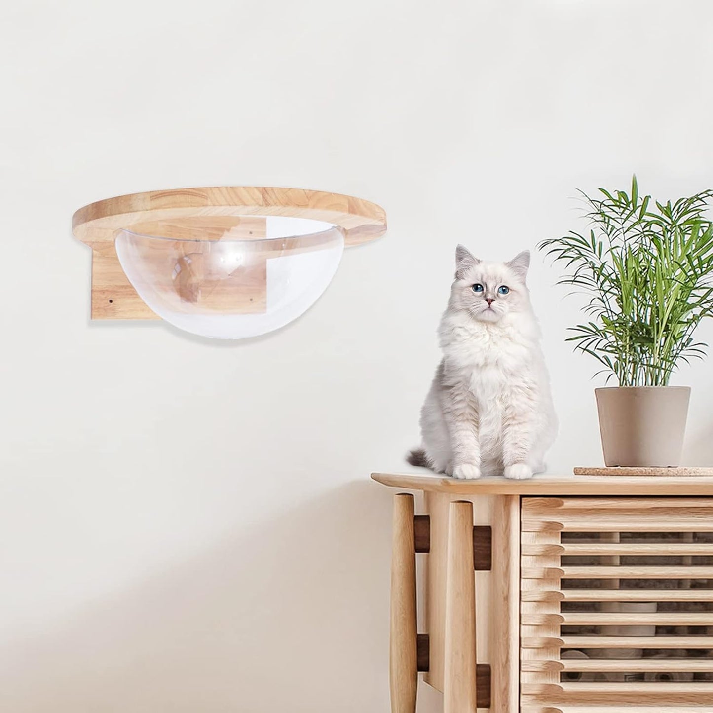 Wooden Cat Hammock, Clear Space Capsule Cat Bed, Wall-Mounted Kitten Walls Shelves Kitty Beds Small Pets Beds, Cats Toy Perch House for Sleeping, Playing, Climbing and Lounging