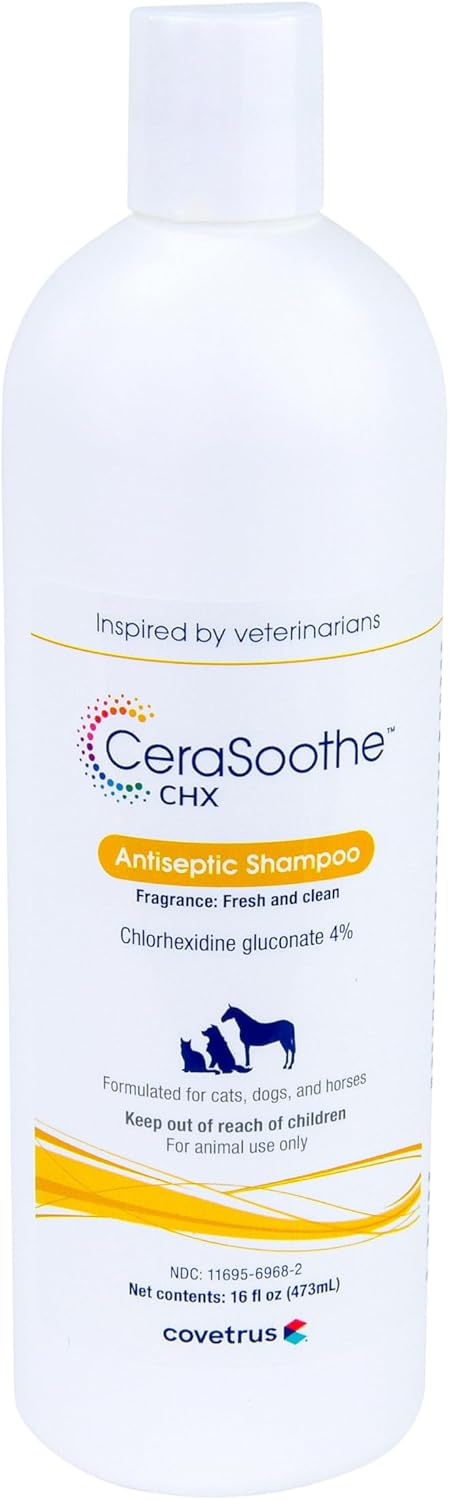CeraSoothe® CHX Antiseptic Shampoo 16oz