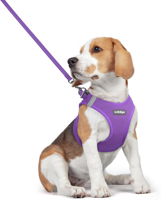 rabbitgoo Dog Harness Small Medium Sized and Leash Set, Step in Soft Light Puppy Vest, Breathable Mesh Pet Harness, Reflective for Safe Outdoor Walking, Purple L