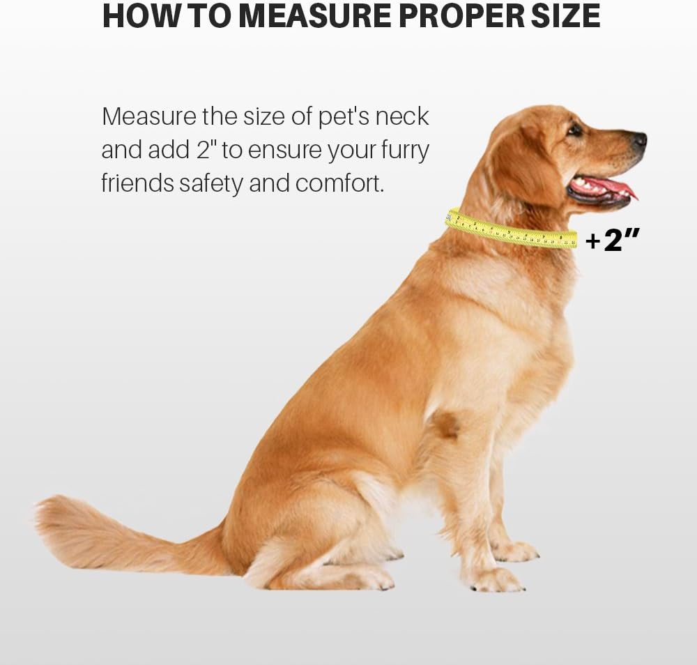 Hyhug Martingale Dog Collar Without Buckle: Escape-Proof, No Slip Heavy Duty Nylon, Colorfast Adjustable Pet Supplies for Large Breeds(Large, Lime Green)