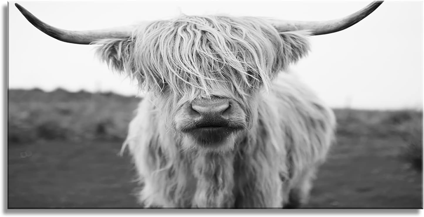 XXMWallArt FC3662 Highland Cow Canvas Art - Black and White Animal Wall Decor for Living Room, Bedroom, Office