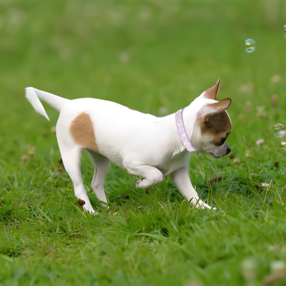 Rhinestone Dog Collar for Small Dogs, Bling Diamond Fancy Crystal Glitter Pretty Jewel Pet Puppy Collars for XXS XS Small Medium Large Breed Girl Dogs Female Cats Kitten, Blue XXSmall