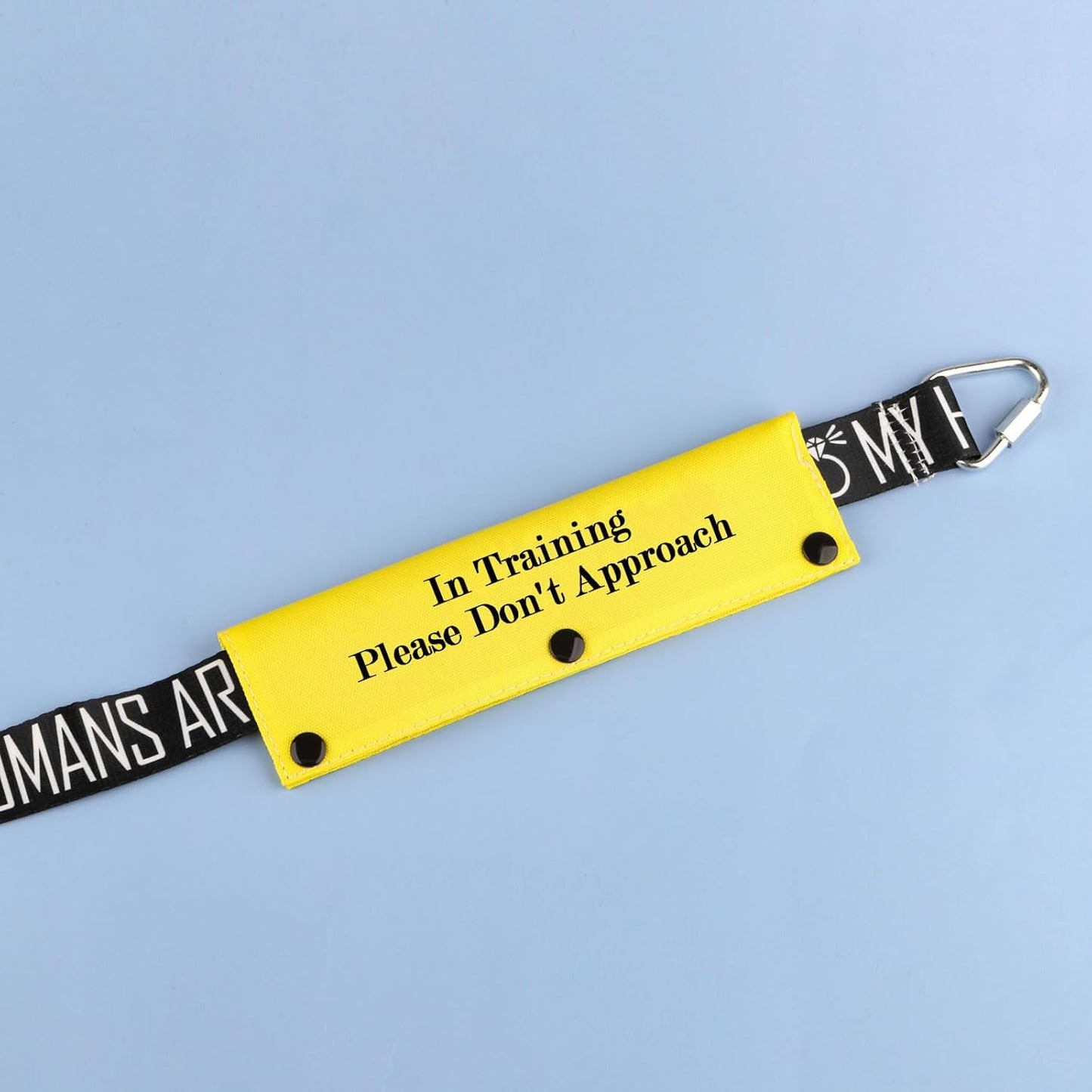 Funny Dog Leash Sleeve in Training Please Don't Approach Dog Leash Wrap Wrap Alert Hanging ID Patch Tag (Don't Approach-YE Sleeve)