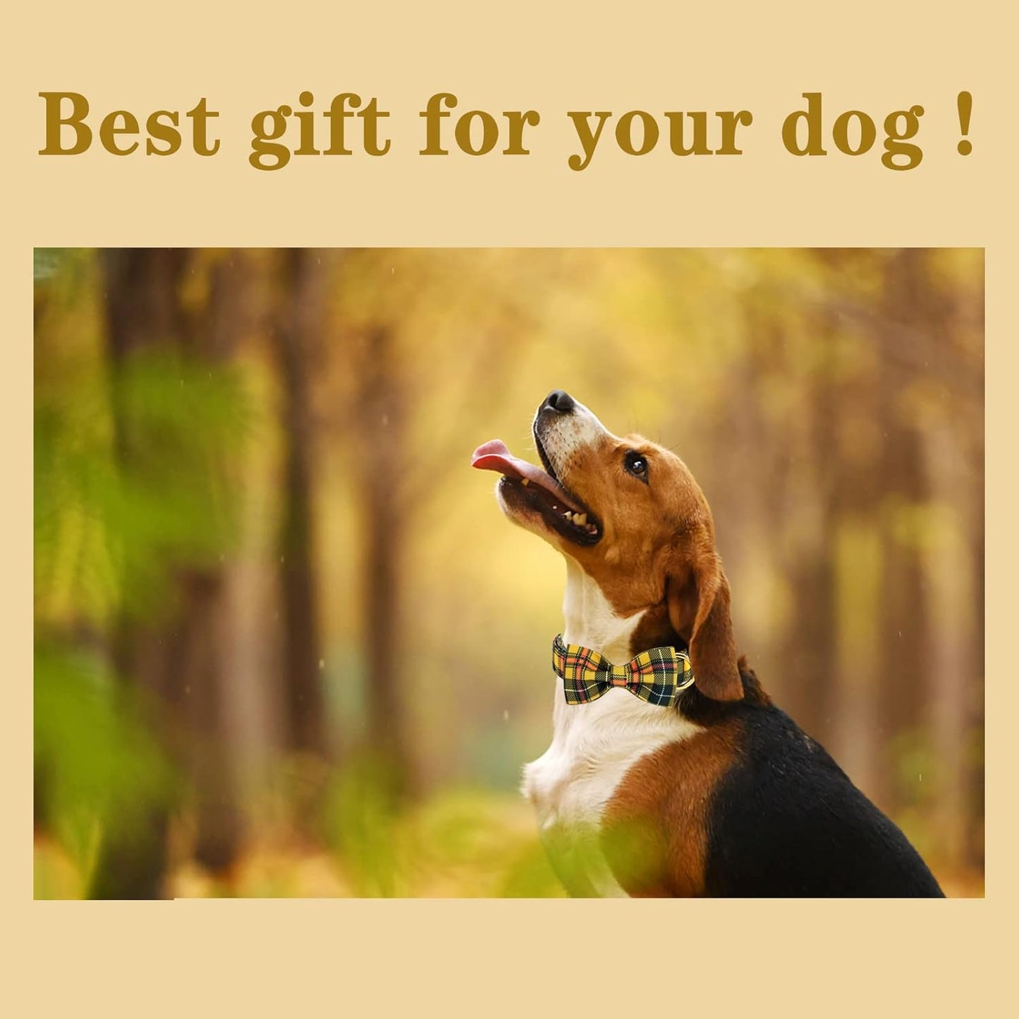 Unique Style Paws Bowtie Dog Collar - Cotton Plaid Adjustable for Small Medium Large Dogs - XL