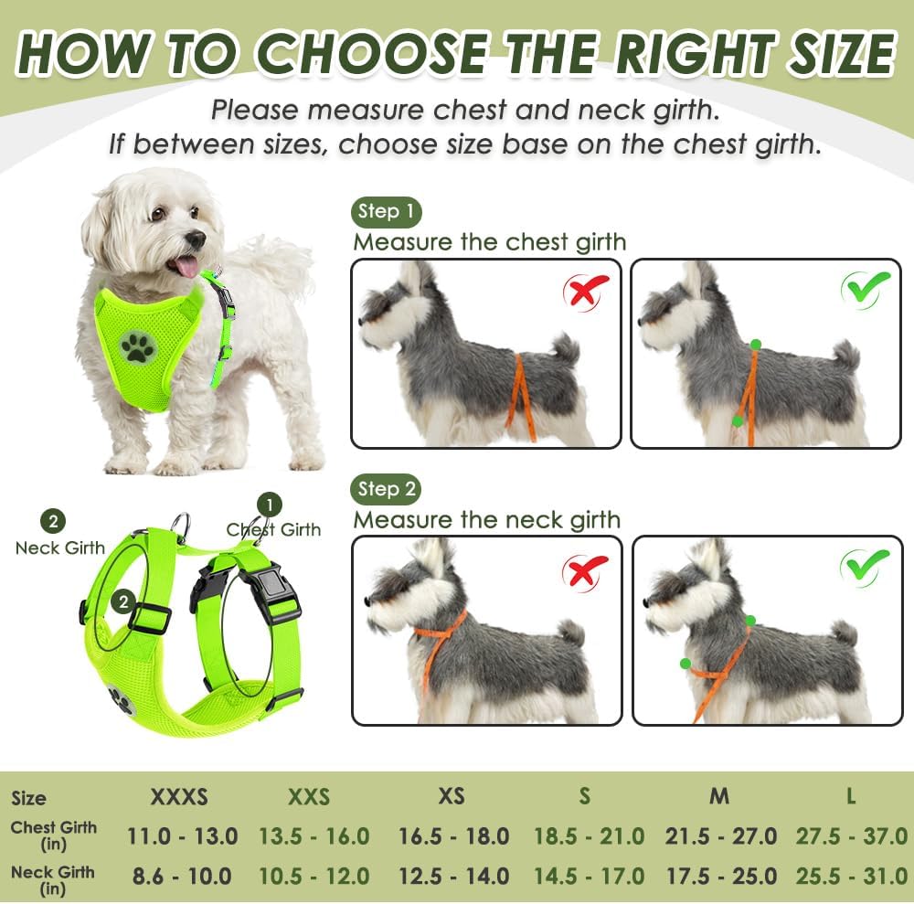 SlowTon Dog Seat Belt Harness for Car, Dog Car Harness Adjustable Mesh Breathable & Dog Seatbelt Safety Tether with Elastic Bungee for Small Medium Large Pets(Lime, Double Clip, S)