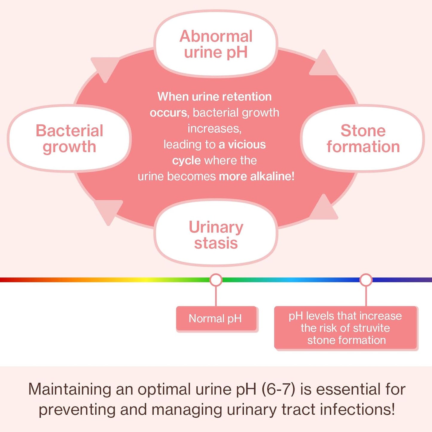 Dr.by UT Care Cat UTI Kidney Support Urinary Supplement Cranberry Treatment for Cats Renal Health with Pacran, Quercetin, Taurine lickable Formula Individually Packaged (1 Pack)
