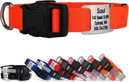 GoTags Personalized Dog Collar with Nameplate, Adjustable Dog Collar with Custom Engraved Slide On Pet ID Tag in Stainless Steel, Silent, No Noise Dog Tag for Large Medium and Small (Orange, X-Small)