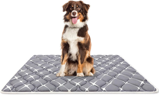 Bubble bear Dog Crate Mat - Ultra Soft, Washable & Anti-Slip Kennel Pad for Small/Medium/Large Dogs, Dark-Hued to Hide Stains (59"x35")