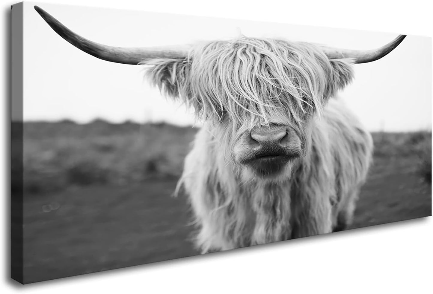 XXMWallArt FC3675 Highland Cow Canvas Art - Black and White Animal Wall Art for Living Room, Bedroom, Office Wall Decor