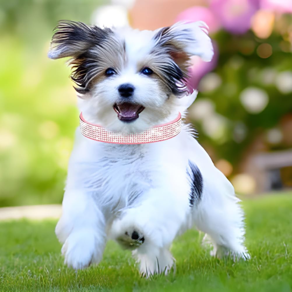 Rhinestone Dog Collar for Small Dogs, Bling Diamond Fancy Crystal Glitter Pretty Jewel Pet Puppy Collars for XXS XS Small Medium Large Breed Girl Dogs Female Cats Kitten, Colorful Pink M