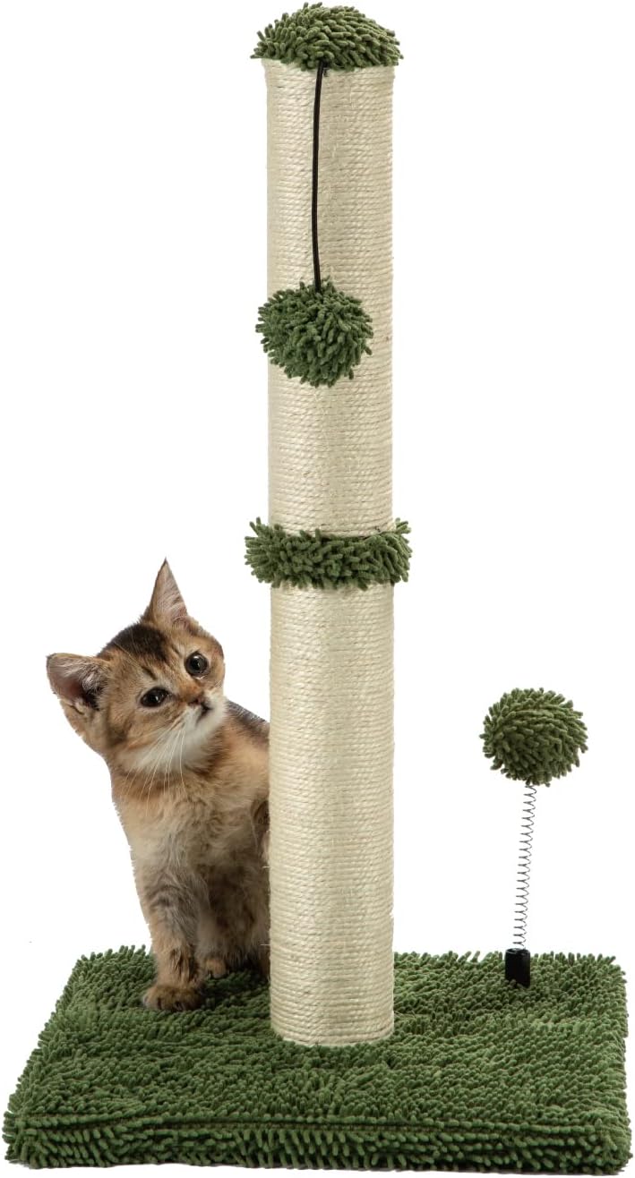 MECOOL Cat Scratching Post Premium Basics Kitten Scratcher Sisal Scratch Posts with Hanging Ball 22in for Kittens or Smaller Cats, Cactus Green
