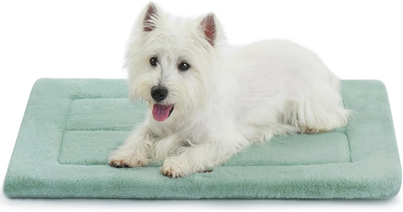 Made4Pets Dog Crate Pad Bed for Small Dogs, Washable & Reversible, Anti-Slip Kennel Mat for Cozy Sleeping, Soft Fluffy Dog Bed for Indoor & Outdoor Use, 24"x18", Green