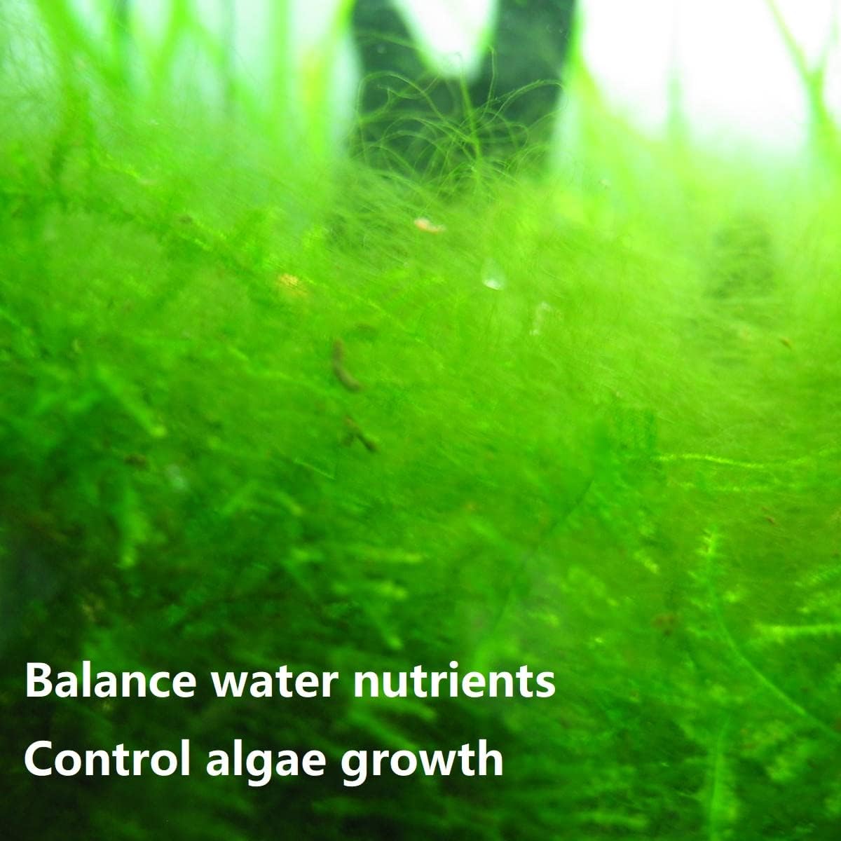 PuriResin Aquarium Filter Media, Organic Filtration Resin, for Freshwater and Saltwater Fish Tank, Removes Driftwood Tannins, 100 ml