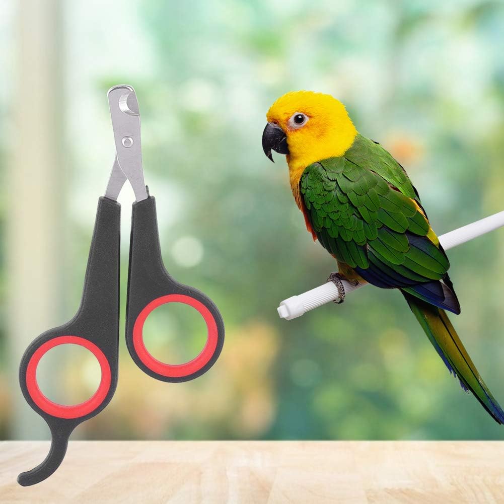 Animal Nail Scissors,Bird Nail Scissors,Beak Trimmer for Birds Pet Bird Small Animals Accessory Grooming Tool,Nail Scissors Clipper Black and Red