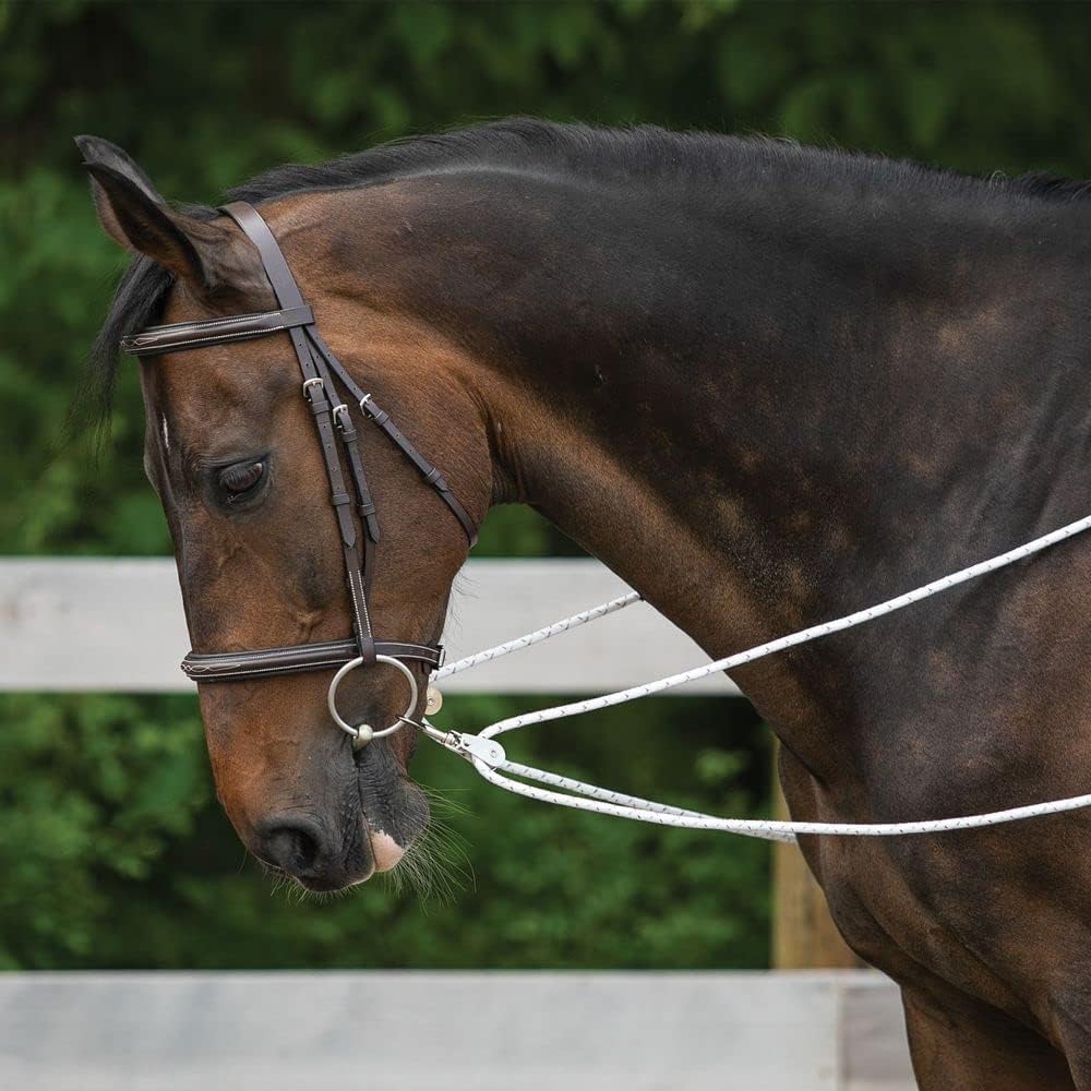 Advanced European Training System | Advanced Training Tool | Enhances Horse Carriage and Headset | Encourages Forward Movement | Strengthens Key Muscles | Not for Beginners