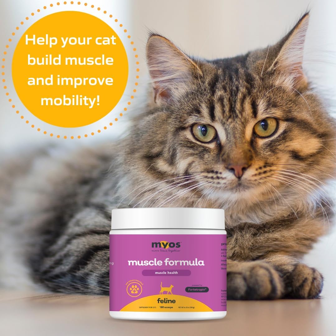 Powered by Fortetropin for Senior Cats - Aids Weight Gain, Muscle Growth & Mobility Support - Natural, Cat Nutritional Supplement - 180 Servings