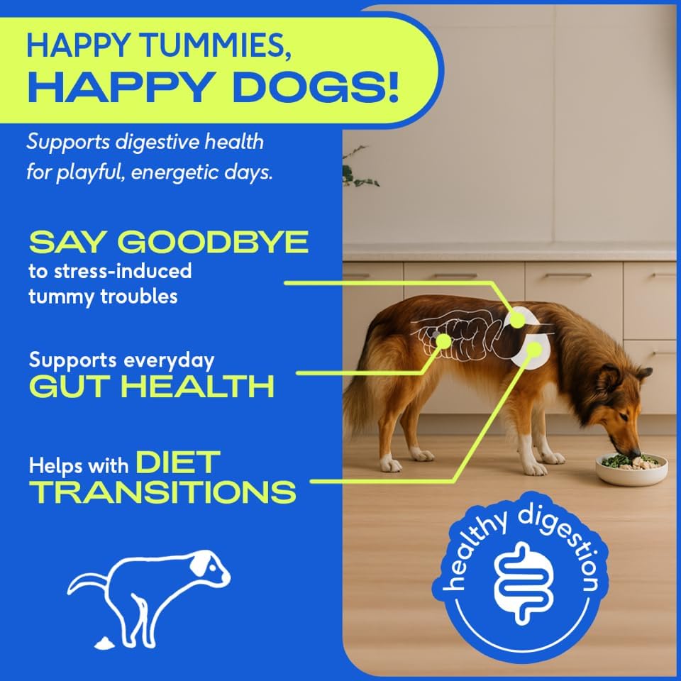 Native Pet Probiotics for Dogs - Dog Probiotics Powder for Digestive Health, Gut Support, & Immune Boost – Vet-Formulated Powder for Maximum Potency with Digestive Enzymes & Prebiotics - 30 Scoops