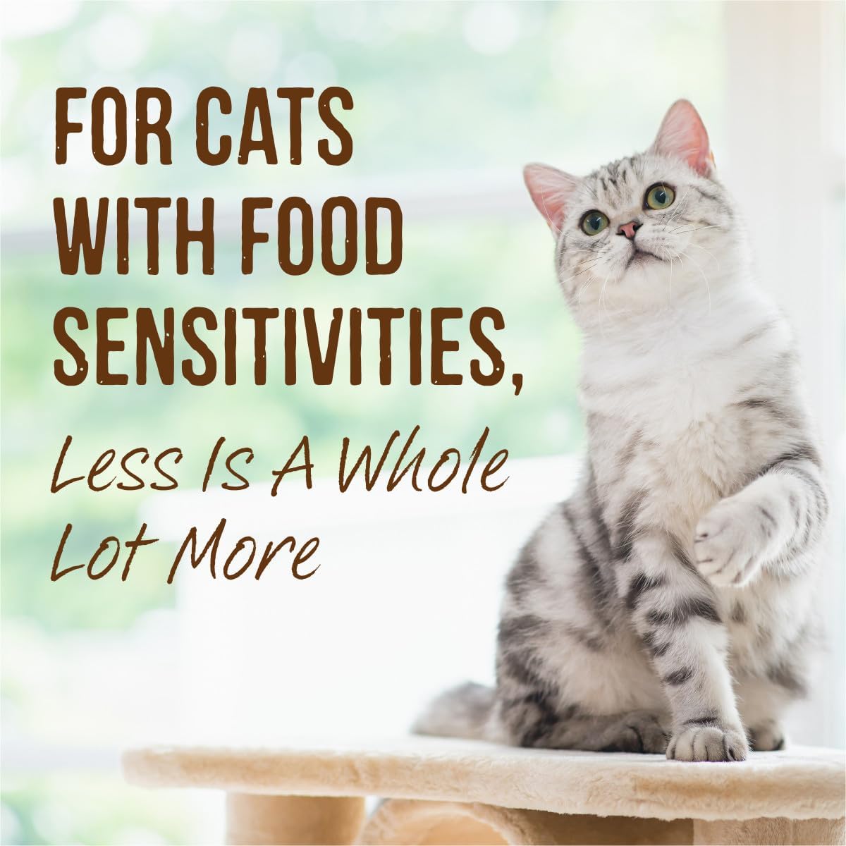 Merrick Limited Ingredient Diet Premium Grain Free And Natural Canned Pate Wet Cat Food, Chicken Recipe - (Pack of 24) 5 oz. Cans