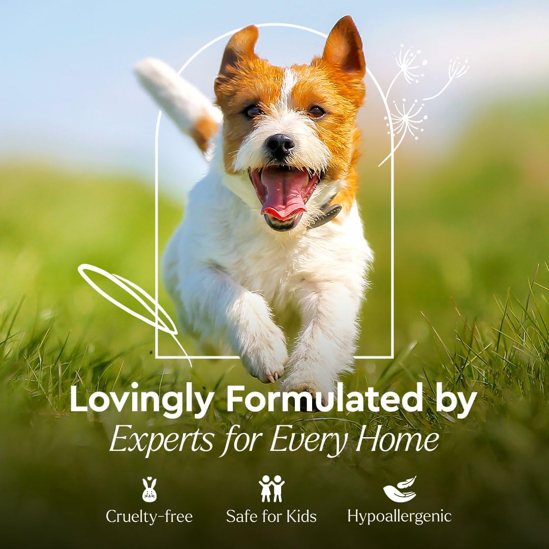 Puracy Pet Stain and Odor Remover - Enzyme Cleaner for Dog Urine and Poop Carpet - Pet Urine Enzyme Cleaner - Cat Pee Enzyme Cleaner for Cat Urine Enzyme Cleaner Destroyer - Cucumber & Mint, 25oz