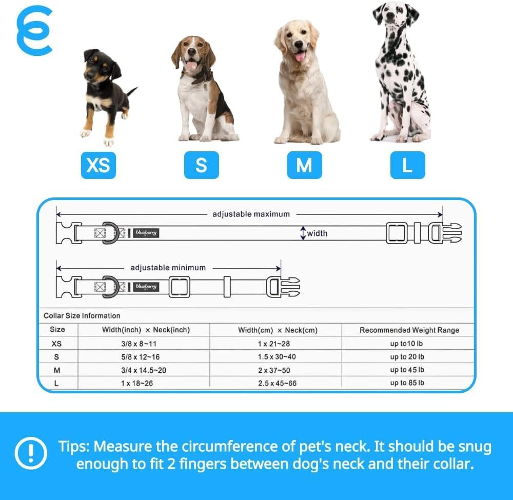 Blueberry Pet Essentials Medium Dog Collar in Fired Brick | Adjustable & Eco-Friendly Durable Nylon Strap | Classic Collar for Medium Dogs, Boy & Girl Pets