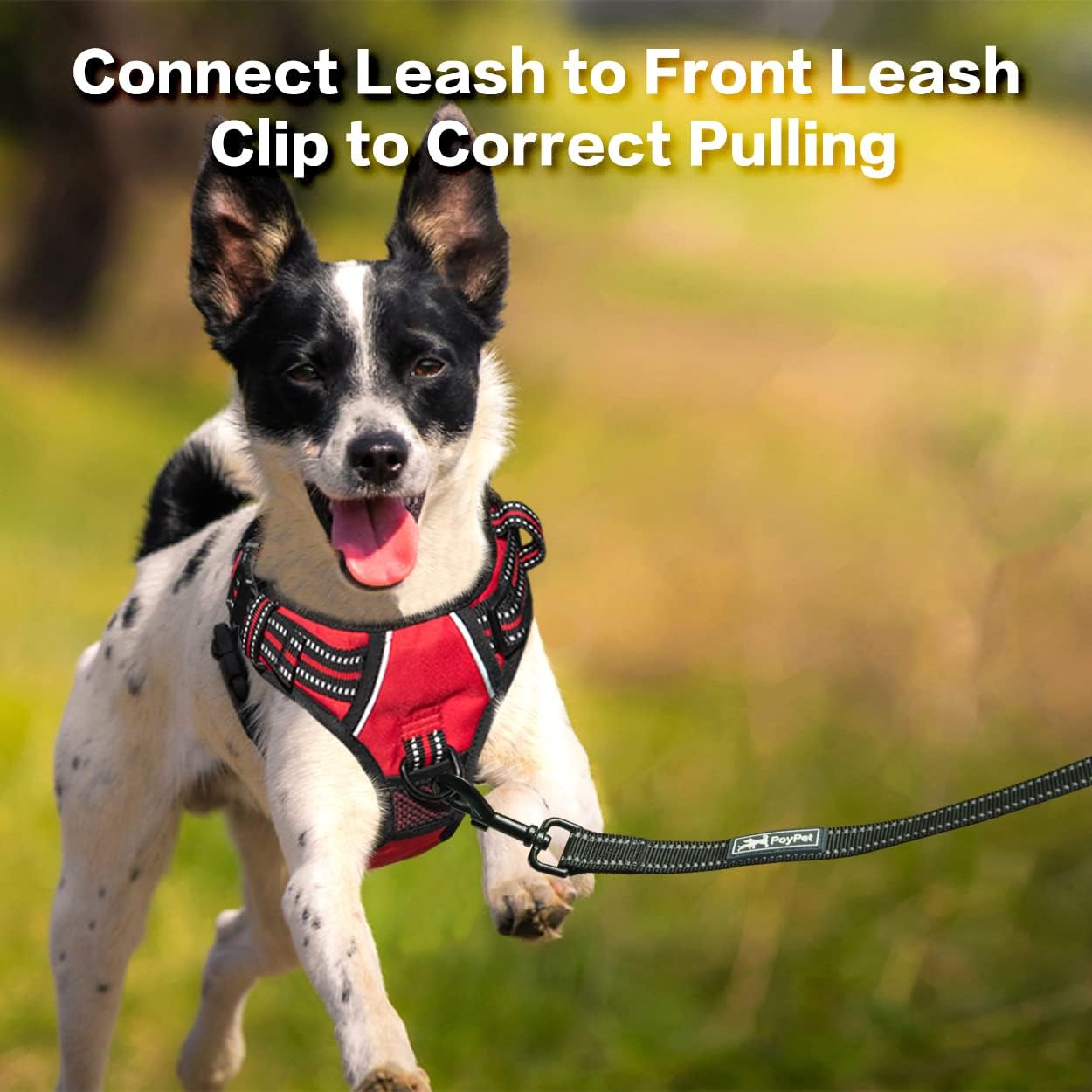 PoyPet No Pull Dog Harness, No Choke Front Clip Reflective Dog Vest with Soft Padded Vertical Handle, 3 Leash Attachments for Small Medium Large Dogs (Red,M)