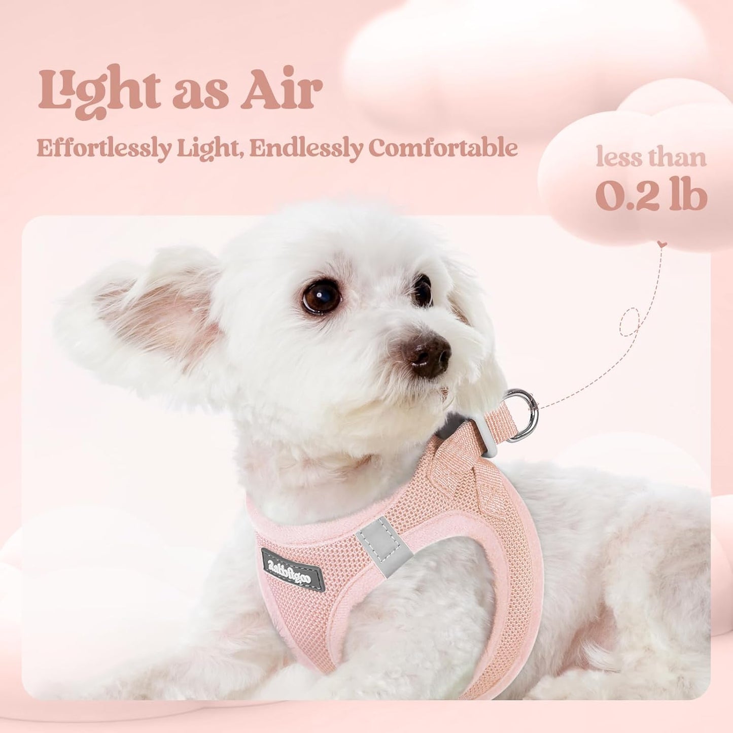 rabbitgoo Dog Harness Small Sized and Leash Set, Step in Soft Light Puppy Vest, Breathable Mesh Pet Harness, Reflective for Outdoor Safe Walking, Pink XL