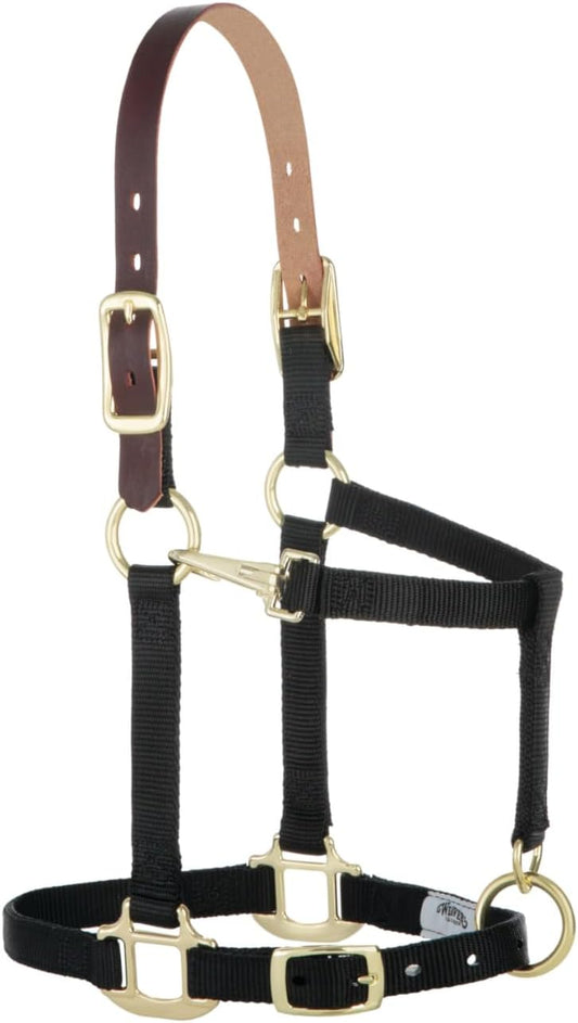 Weaver Equine Breakaway Horse Halter, Supple Leather Crown, Adjustable Chin & Throat Snap Halters for Horses, Equine Tack,Pony Size, Black