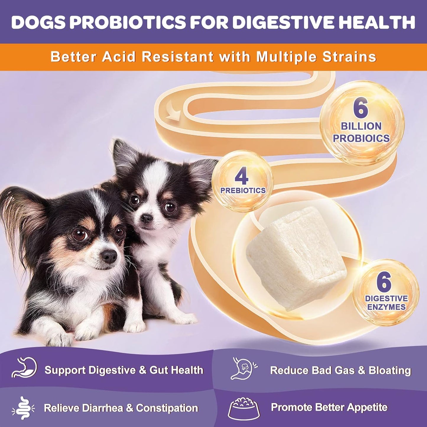 NATURE TARGET Probiotics for Dogs, 6 Billion Freeze Dried Dog Probiotics with Prebiotics & Enzymes, Vitamins, Omega 3, for Digestive & Gut Health, Itch Relief, Reduce Diarrhea, 120 Bites