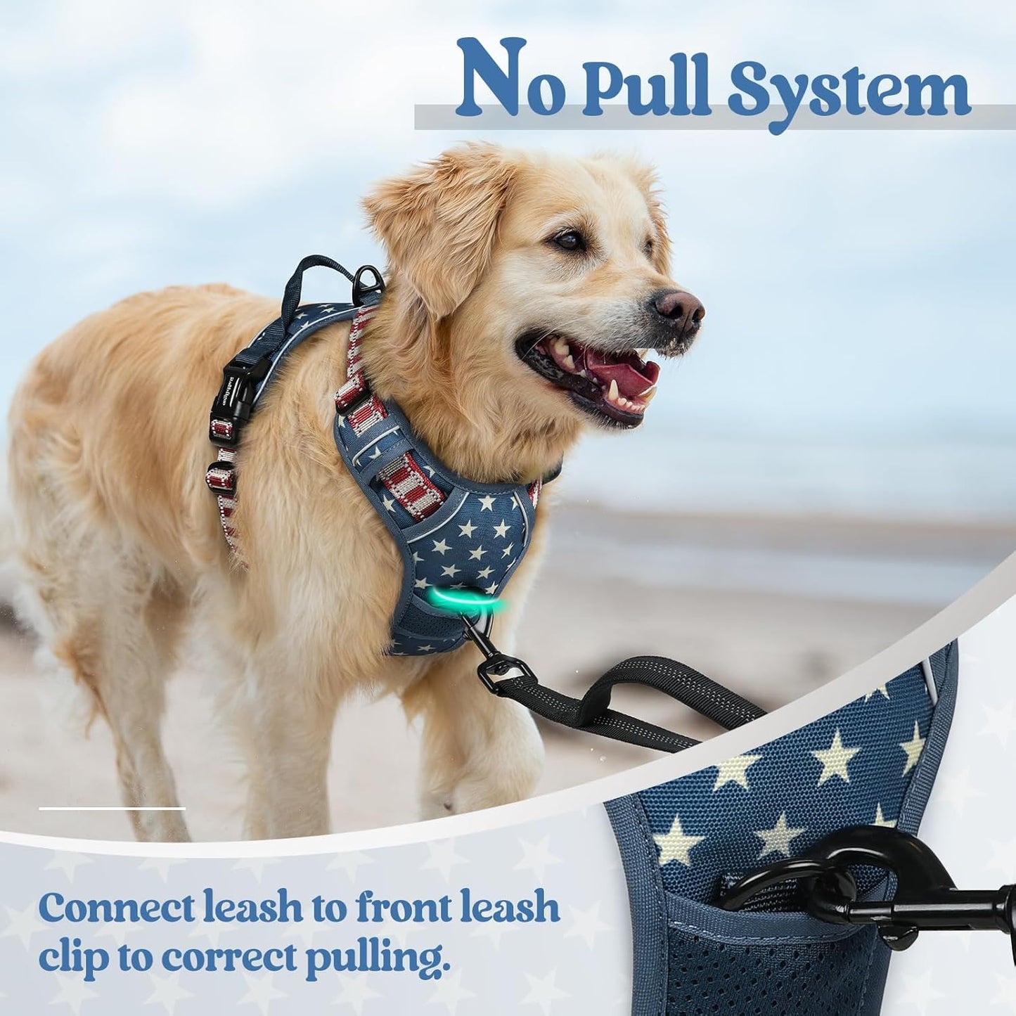 rabbitgoo Dog Harness No Pull with 2 Leash Clips, Adjustable Soft Padded, Reflective Oxford No Choke Pet Vest with Easy Control Handle for Large Dogs, Blue Star, M