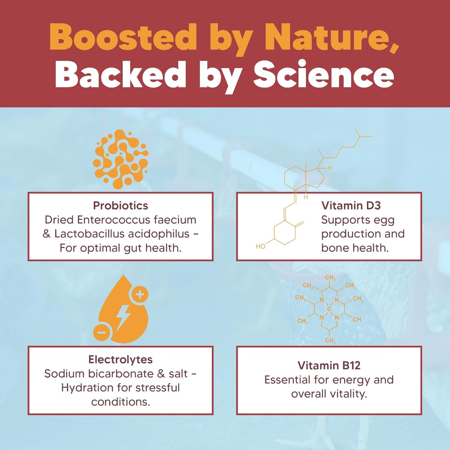 Flock PRO Hen Boost - Digestive Supplement for Hens | Chicken Vitamins and Supplements | Probiotics, Digestive Enzymes, Electrolytes for Adult Poultry-5lb