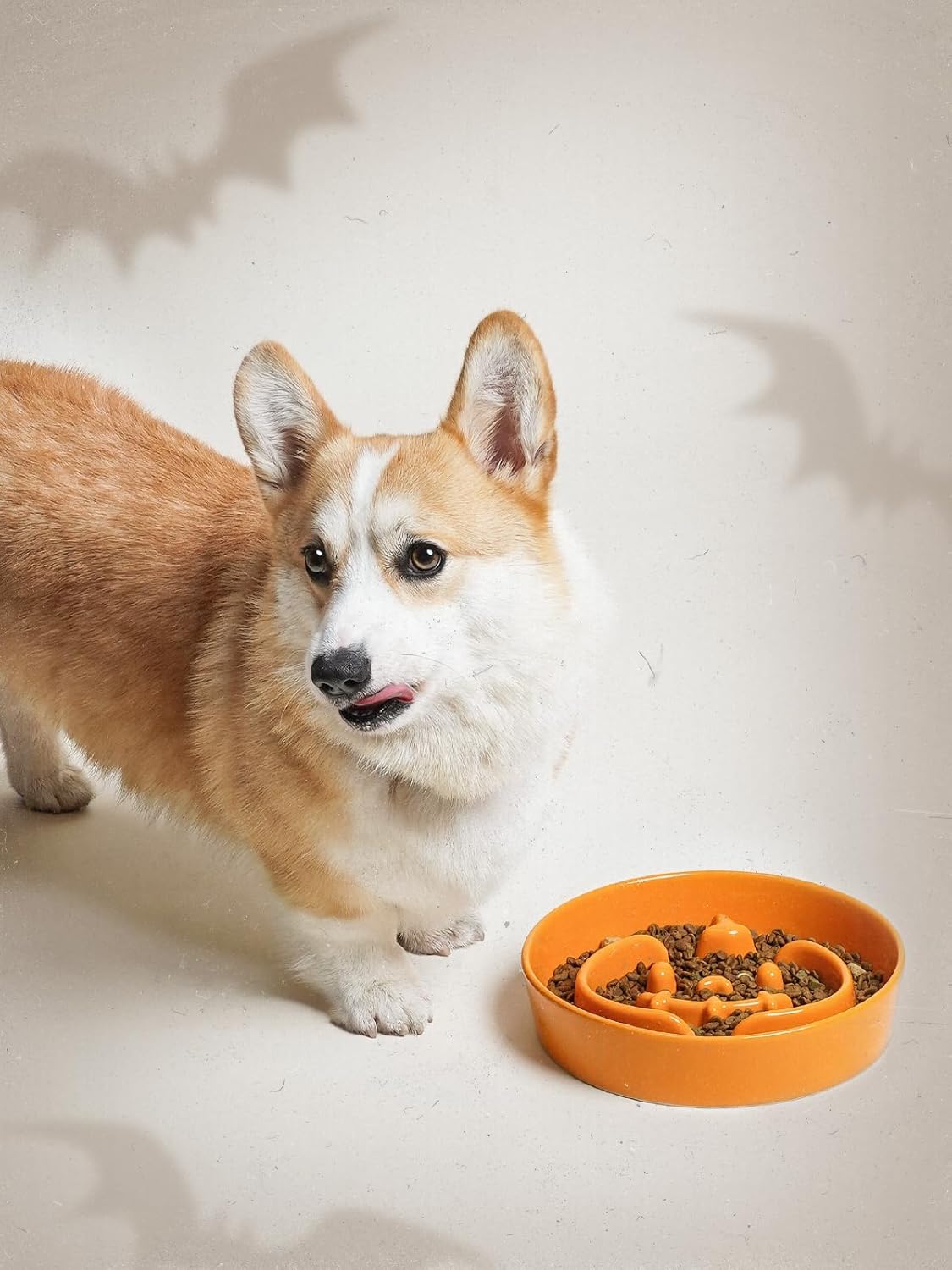 LE TAUCI Ceramic Slow Feeder Dog Bowls Small Breed, 0.6 Cups Dog Food Dish for Fast Eaters, Puzzle Bowl for Small Dogs and Cats,Pumpkin Orange