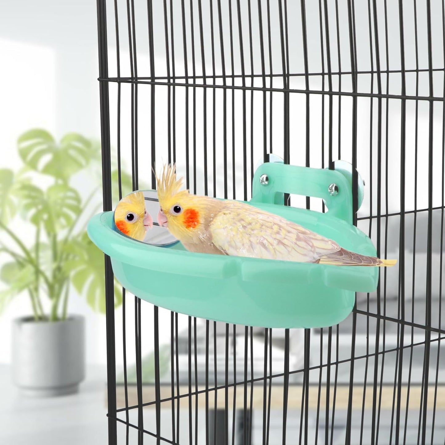 Wontee Bird Bath Box with Mirror Portable Parrot Hanging Bathroom Bathing Tub for Small Birds Cleaning Supplies (Blue(A)+Green)