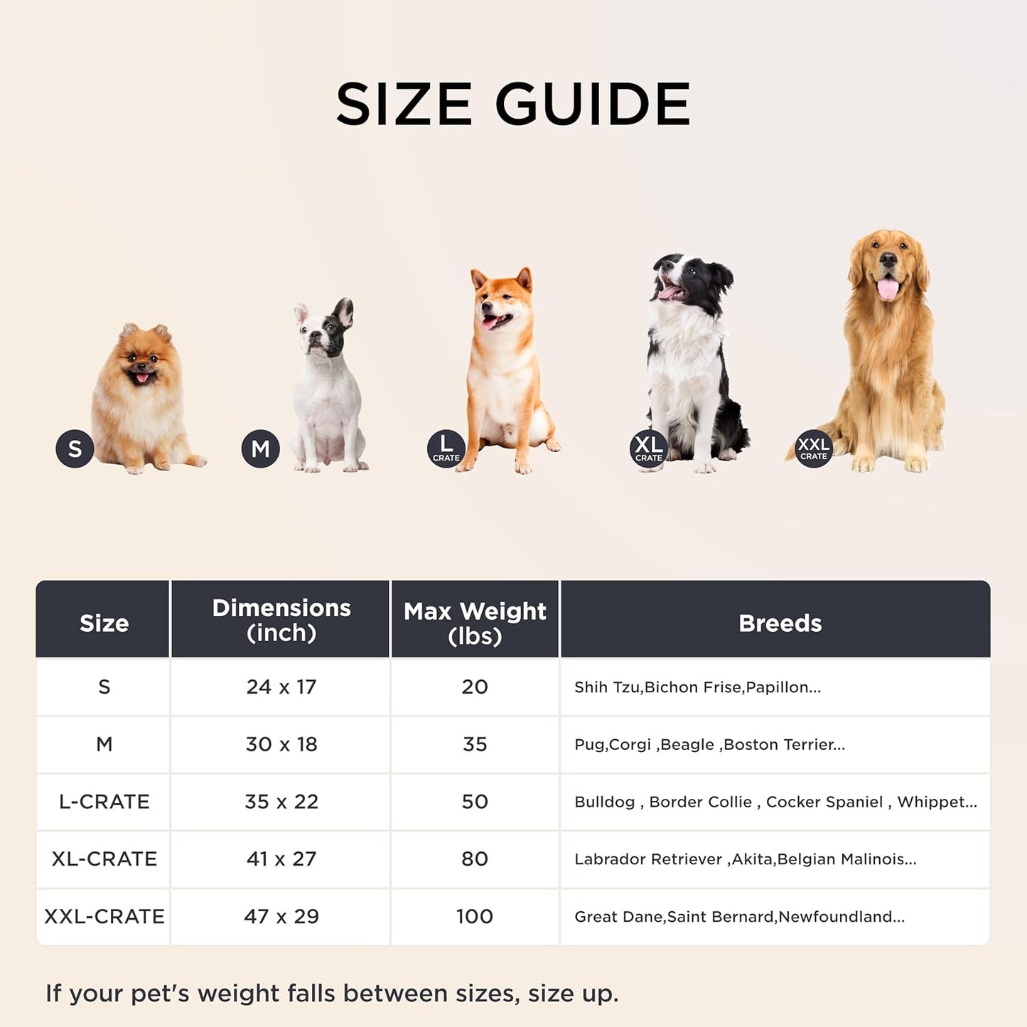 Bedsure Dog Bed for Small Dogs - Orthopedic Pet Beds with Removable Machine Washable Cover, Egg Crate Foam Puppy Pad, Suitable for Pet Up to 20 lbs, 23"x17"