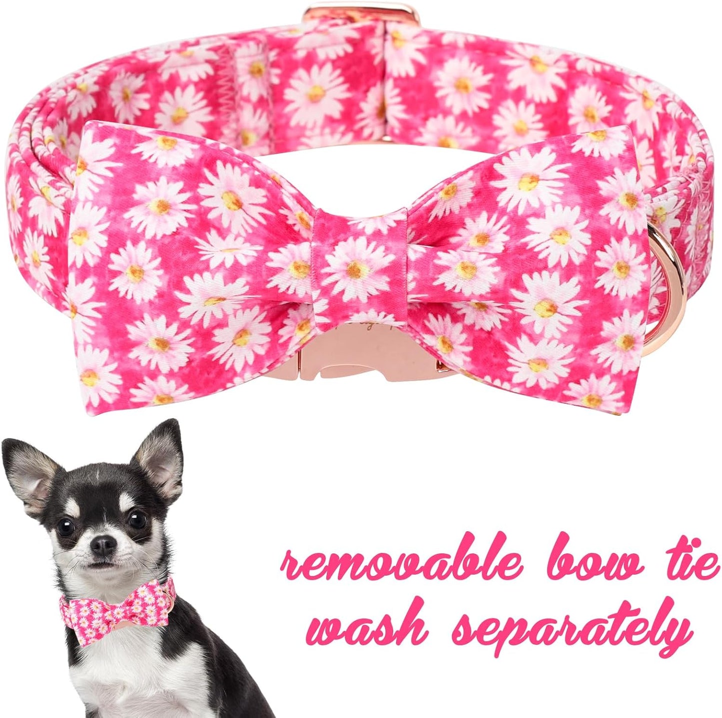Unique style paws Cartoon Dog Collar with Bow Spring Summer Collar with Flower Rose Daisy for Small Medium Large Boys Girls Dogs