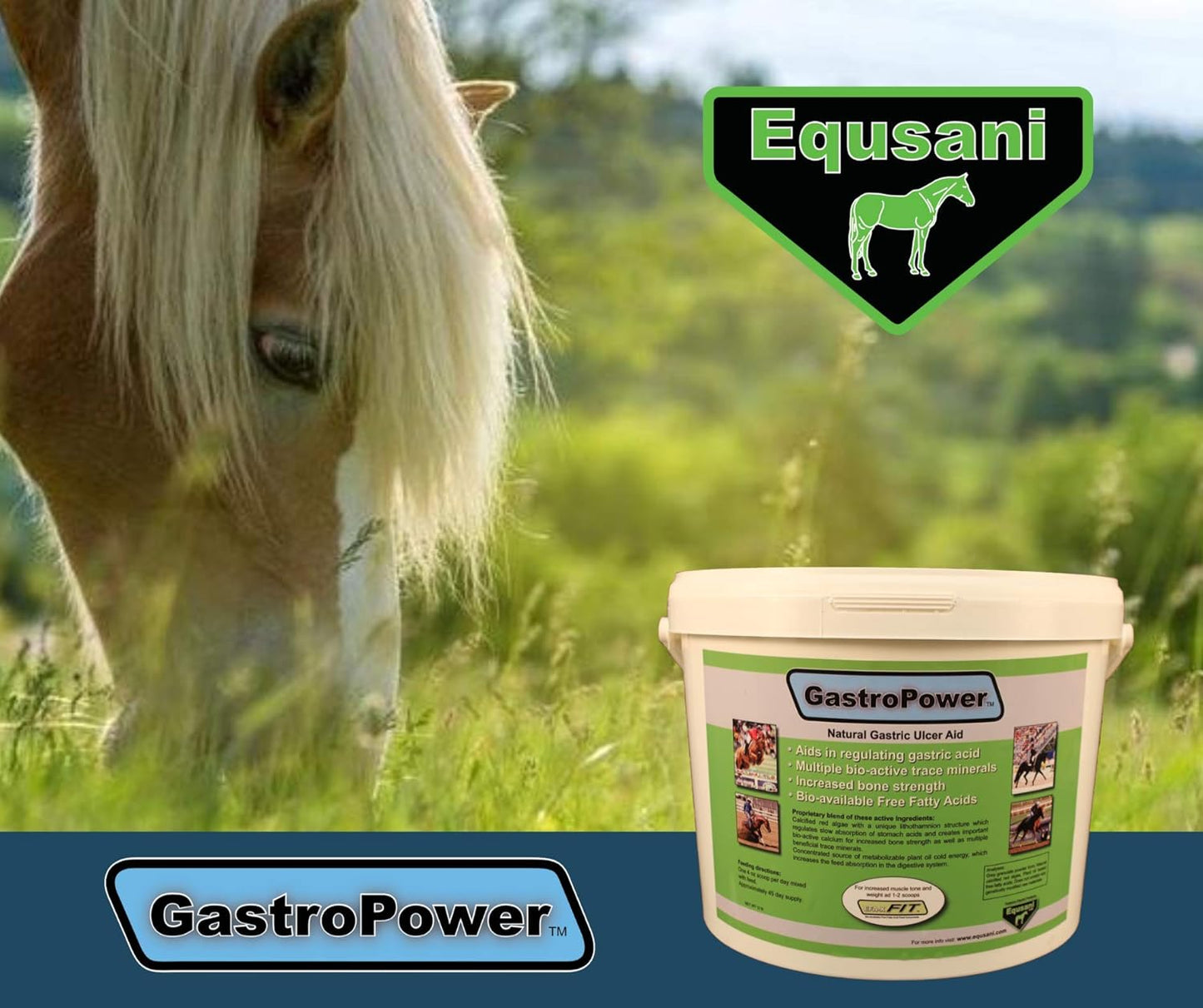GastroPower Digestible Free Fatty Acid Feed Concentrate for Horses