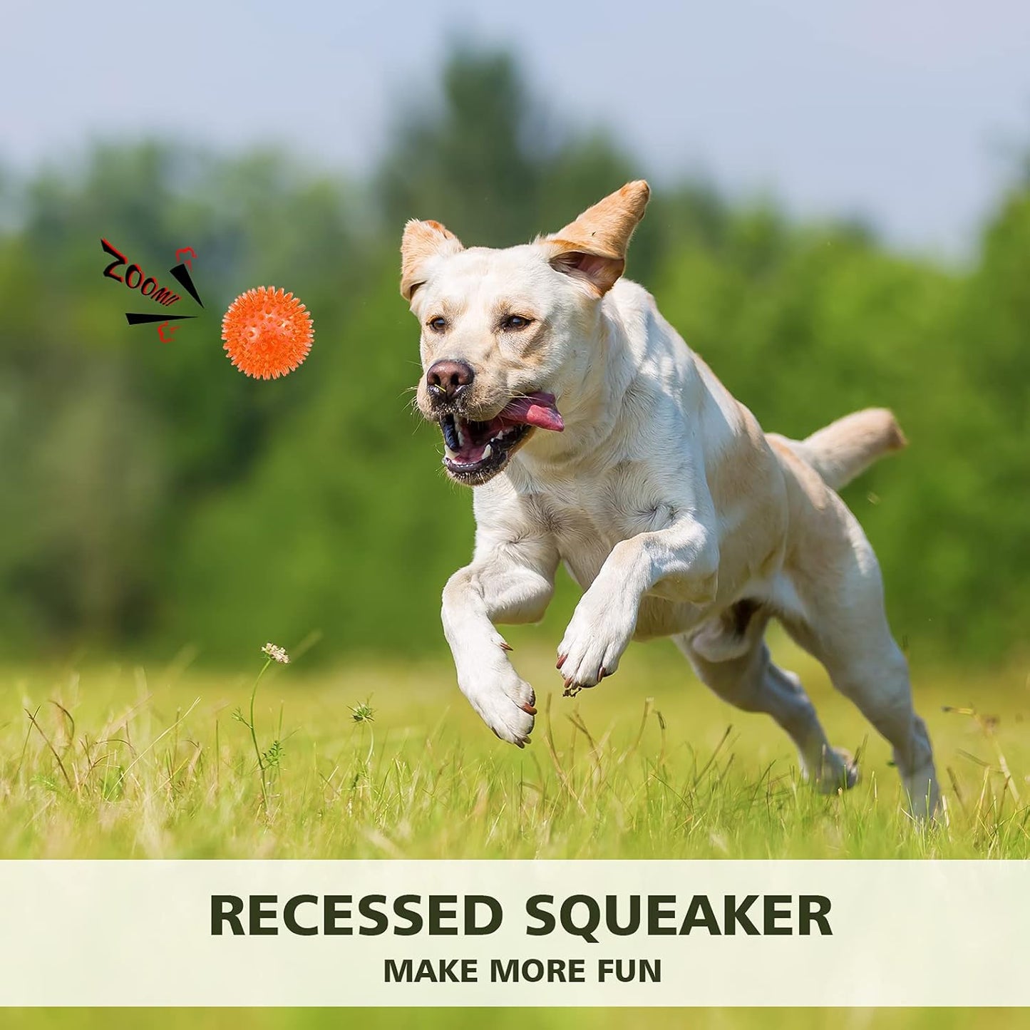 Petizer 3 Pack 2.5" Squeaky Toy Balls, Floating Pool Balls, Spiky Water Toys, Durable Interactive Fetch Toys for Puppy, Chew Toys for Teething (Small Dog)