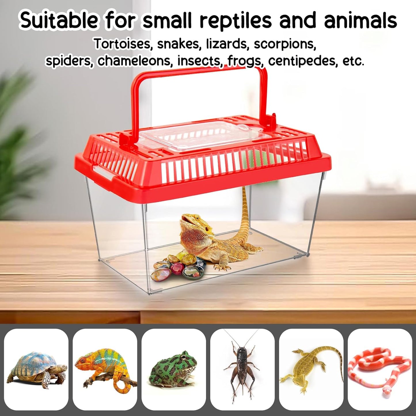 12Pcs Plastic Reptile Terrariums Carrier Cage Tarantula Enclosure Snake Breeding Box Hatching Container Transparent Fish Tank Turtle Aquarium with Random Color Lid for Spider, XS(5.1” x 3.5” x 3.5”