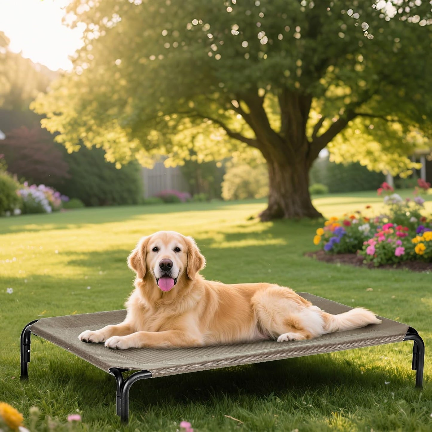 Elevated Dog Bed for Outdoor, Large Raised Dogs Cot for Training, Cooling Pet Beds with Washable Mesh, Indestructible Lifted Platform for Outside Camping, 41 inch Brown
