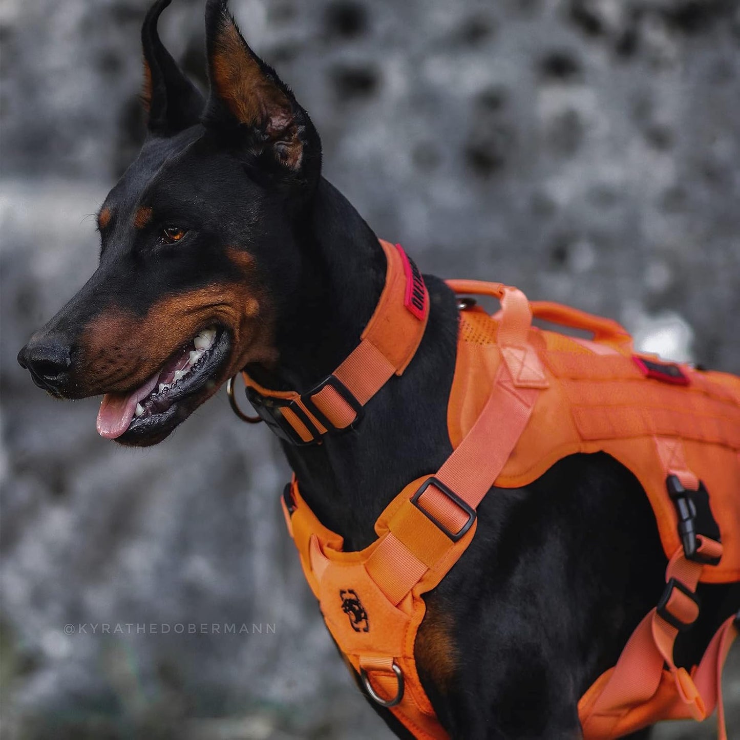 OneTigris - Tactical Dog Harness No Pull for Medium Dogs, Breathable Mesh Design, Service Dog Vest with Handle and Molle Bags, Adjustable Suit for Walking Hiking