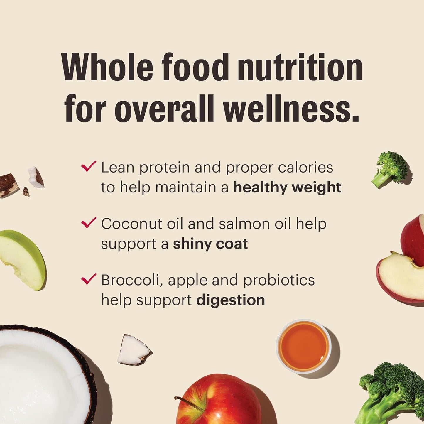 The Honest Kitchen Whole Food Clusters Small Breed Grain Free Beef Dry Dog Food, 10 lb Bag