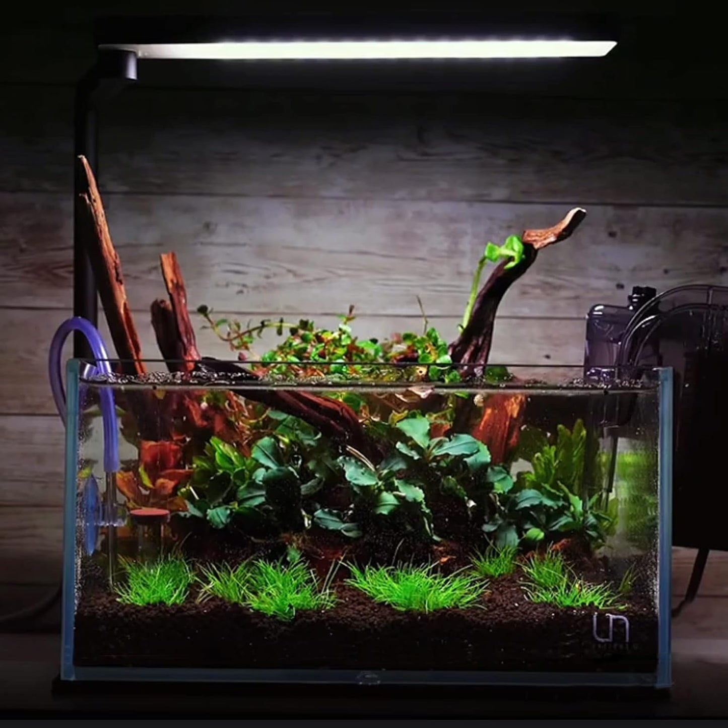 majoywoo Natural Small Driftwood for Aquarium Decor Reptile Decor, Assorted Driftwood Branch 2-4.5" 10 Pcs, Fish Tank Decorations