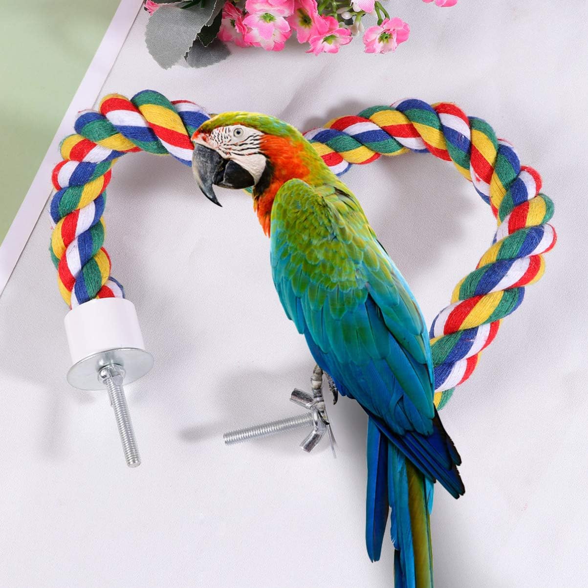 1pc Parrot Cotton Rope Chewing for Birds Climbing Rope Perch for Parrots Budgies and Cockatiels Bird Supplies for Exercise and Fun