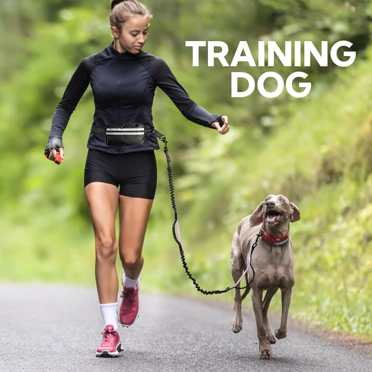 Hands Free Dog Leash with Pouch, Double Leash for Two Dogs, Retractable Bungee with Double Padded Handles, Dog Waist Leash for Dog Walking, Running Leash for Dogs, Dog Walking Accessories