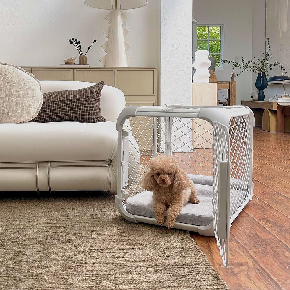 DIGGS Evolv Dog Crate - Slim, Durable Dog Kennel with Removable Ceiling Panel and Modular Design - Safe, Stylish, and Convenient (Ash, Intermediate)